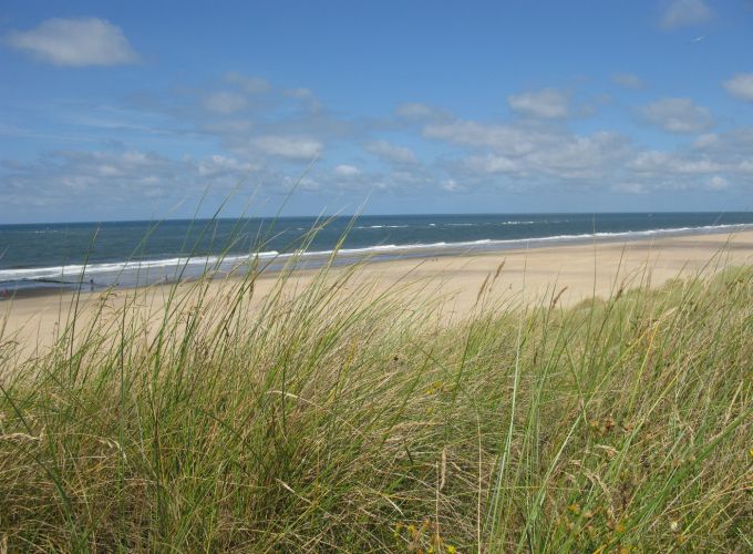 Schilderworkshop aan zee - Galerie De Reddingbootschuur organiseert samen met kunstenares Femke Kruger schilderworkshops aan zee.