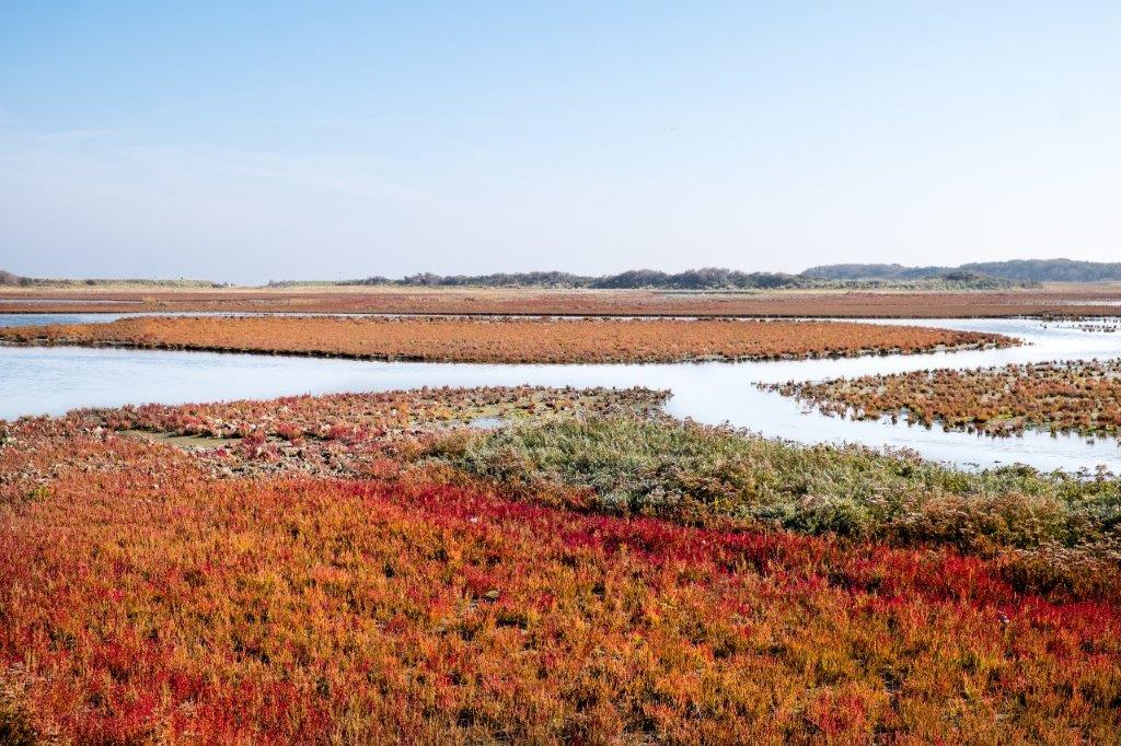 Wat te doen op Vlieland? VVV Vlieland Wat te doen op Vlieland? VVV Vlieland