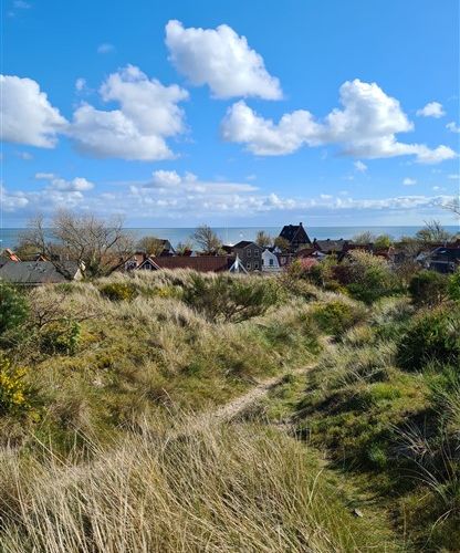 2025-06/duin