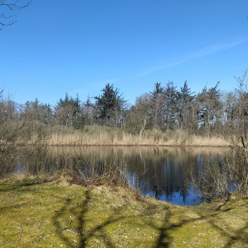 2025-06/nieuwe-kooi