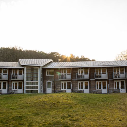 2025-11/1763113907_img-1187