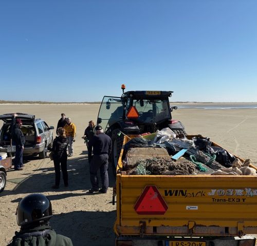 2026-04/043d6fb2-bb6a-4090-bbd2-10415b4bb437-img-0401