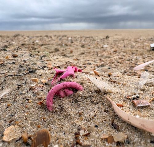 2026-04/da41fc5f-5829-4024-8f3f-47aafe298b97-img-4434