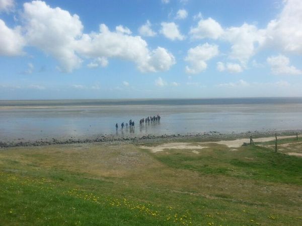 Waddenzee Werelderfgoed Wadexcursie - Dag vooraf aanmelden bij De Noordwester of online, € 8,50 p.p. Let op: laarzen zijn verplicht!