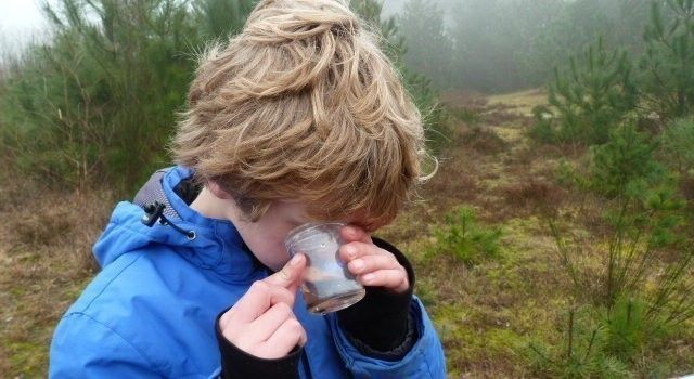 Op zoek naar kriebelbeestjes - In de Torenvijver vijver leeft van alles, dag vooraf aanmelden bij de Noordwester of online, € 8,50 p.p.