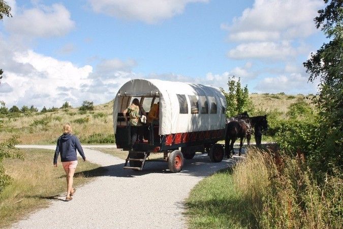 Huifkartocht met Aardewandeling - Een excursie die geschikt is voor het hele gezin, vooraf reserveren bij de VVV of De Noordwester, € 20,00