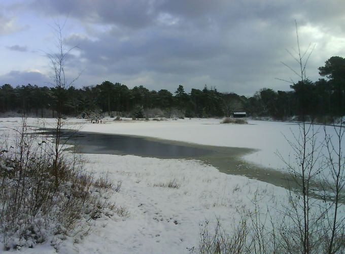 Natuurwandeling - Strunedeurdedune, natuurwandeling met gids Sjoukje, vooraf aanmelden bij de VVV.