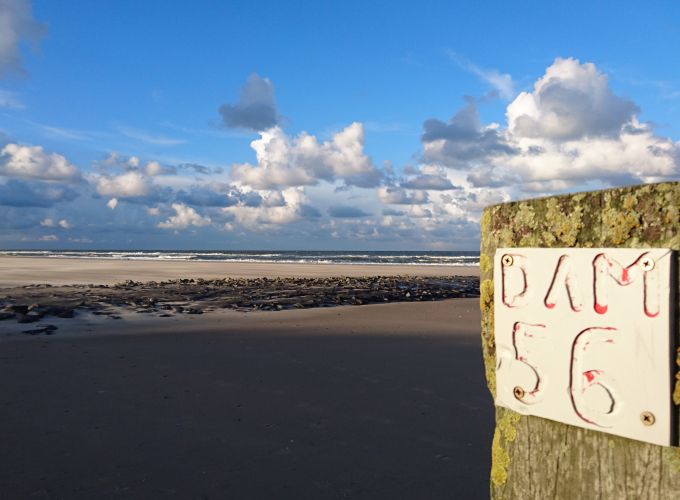 Natuurwandeling - Strunedeurdedune, natuurwandeling met gids Sjoukje, vooraf aanmelden bij de VVV.