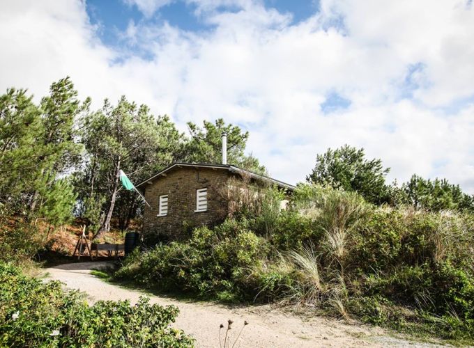 Eerste Zeewieroogst - Open Dag bij de Vlielander Kaasbunker, van 10.30 tot 16.00 uur.