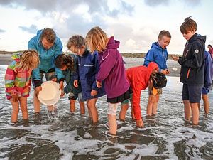 Gratis excursies met de wadgidsen van de Waddenvereniging - De excursies beginnen bij Zaal 2 van podium Vlieland