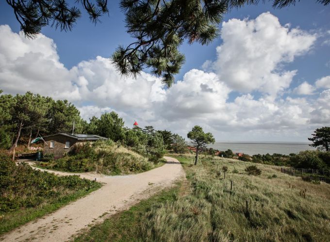 Oudejaars Kaasbunkerfeest - Je bent welkom van 10.30 - 16.00 uur bij de Vlielander Kaasbunker.
