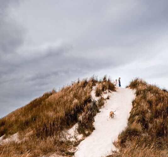Zwerven door de duinen van Vlieland - Op pad met Staatsbosbeheer. Dag vooraf aanmelden bij de VVV of De Noordwester.