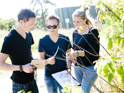 Puzzeltocht - Paal 50 activiteit