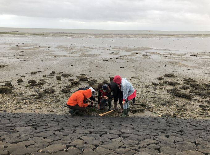 Wadexcursie Tromp's Huys - Wat leeft er in en op het Wad....