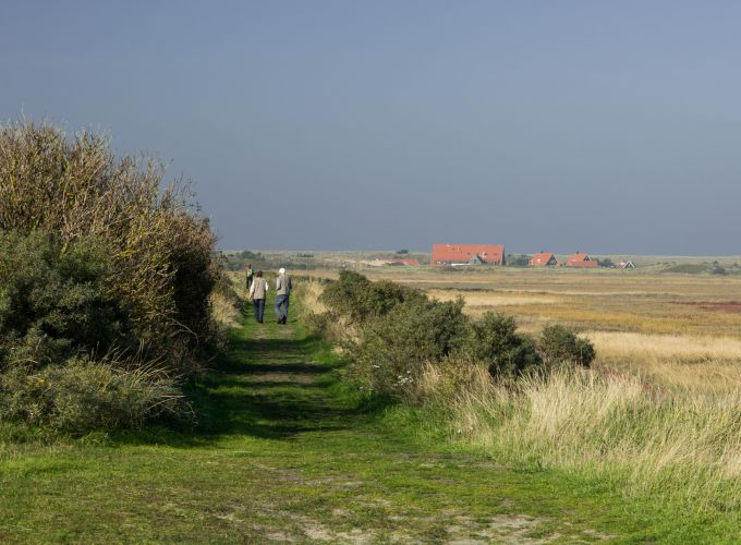 Kroonspolder wandeling - Paal 50