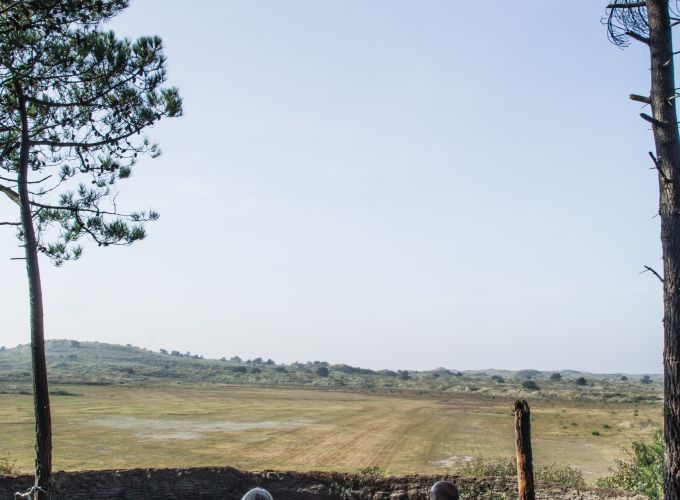 Bos en Duin wandeling Tromp's Huys - Tussen de Vuurtoren en Kooi's plek