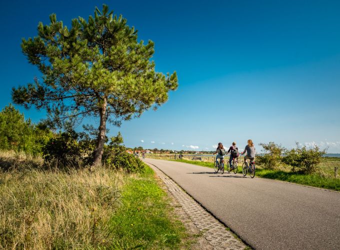 Fiets- en scootmobielpuzzeltocht voor leden VESV -