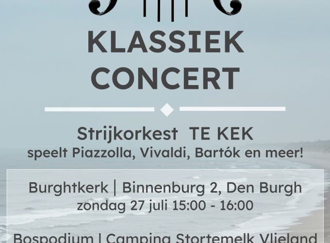 Het strijkorkest TE KEK - Bospodium Stortemelk