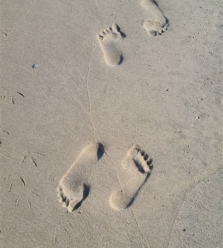 Zen op de Zandplaat - Wandelcoaching Vlieland hostess