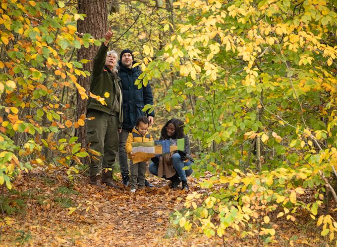 Stappen door November - Een maand vol leuke wandelingen, excursies en arrangementen.
