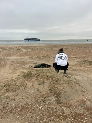 Voorleespret met…de zeehondenwachter - In de Bibliotheek