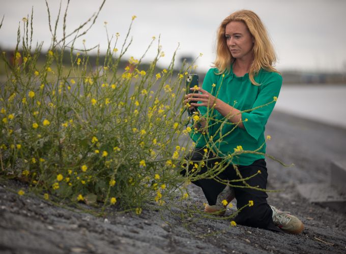 Mini workshop smartphone fotografie - Vliemeisje deelt haar passie voor Vlieland en fotograferen met jou!