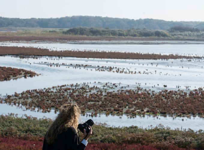 Op stap met de boswachter door de Kroon's polders - De boswachter neemt je mee naar het hart van dit unieke vogelparadijs.