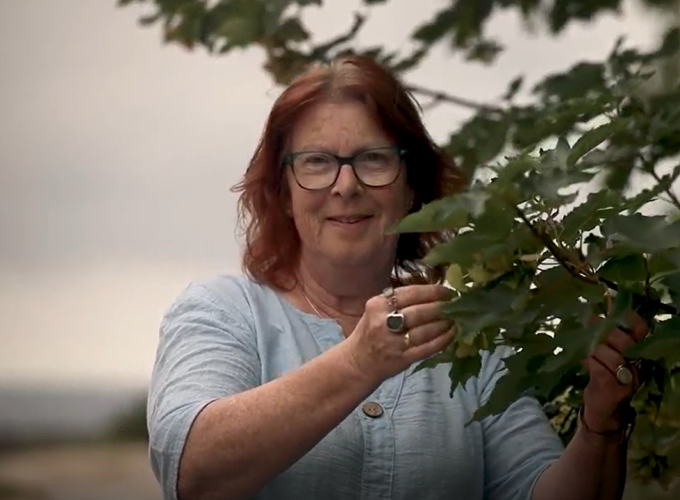 Betzy’s verborgen bos - Ontdek je de adembenemende natuur die de kunstenares zo diep heeft beïnvloed.