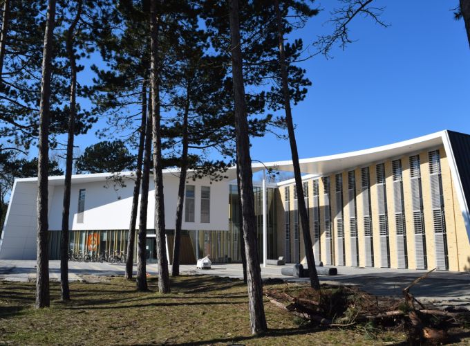 Kerstmiddag - in de Bibliotheek