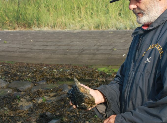 Snertwandeling Paal50 - Wandel je mee met Folkert?