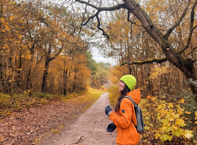 Stappen door November - komt terug in 2026