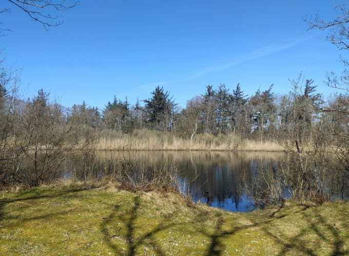 Nieuwe Kooi excursie - November - Sluit je aan bij deze herfstige verkenningstocht van De Lepelaar