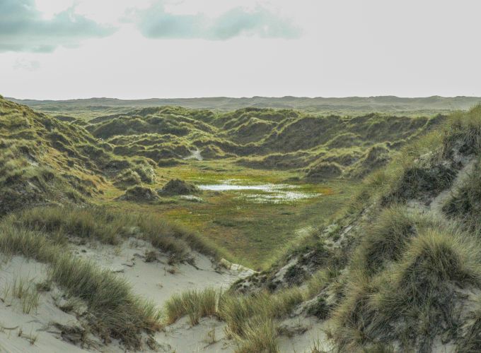 Dwalen door de duinen met de boswachter - Ga mee op pad en ontdek het verborgen verhaal achter het Vlielandse duinlandschap