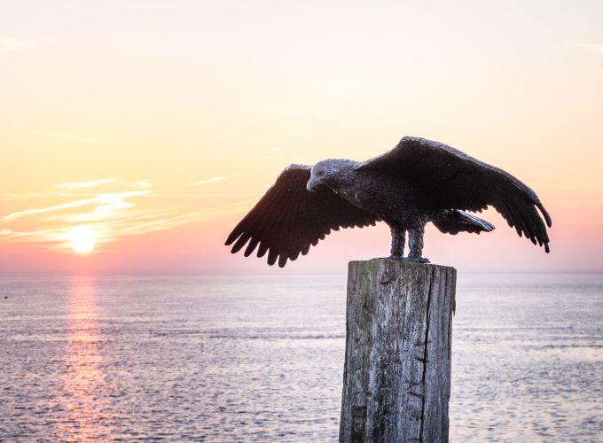 Kunst op Vlieland met Peter Petersen - Ontdek de verborgen verhalen achter de iconische beelden van Vlieland, rechtstreeks verteld door de kunstenaar zelf!