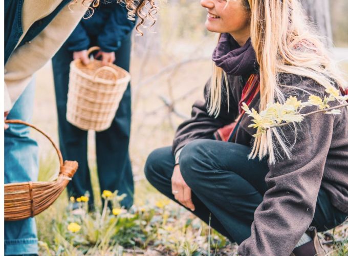 Een natuurweekend op Vlieland - Ontdek de kracht van de branding en netels
