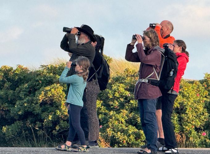 Vogel Expeditie - November - Kijken door de ogen van een vogelkenner
