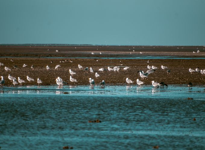 Glooiing Wandeling - Voor natuurliefhebbers, wandelaars en fotografen