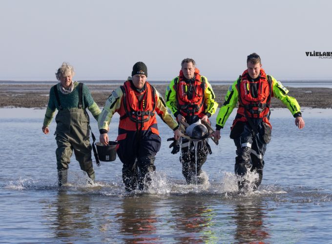 Reddingbootdag KNRM - in samenwerking met Brandweer Vlieland