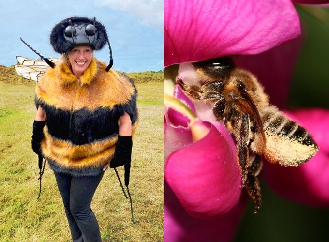 Wilde Bijen Expeditie - Initiatief Bee Foundation iswm De Lepelaar