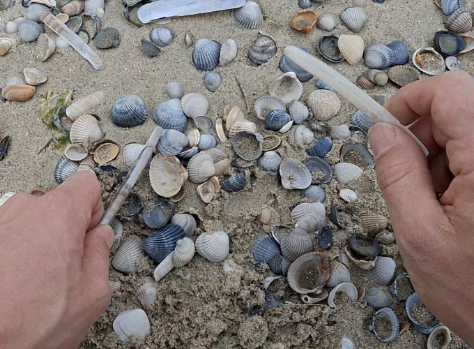 Het strand als een groot muziekinstrument - Kom naar het Stortemelkstrand.