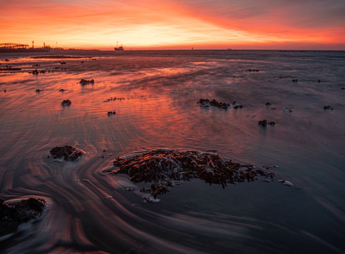 Avondlicht schilderen op de dijk - Laat je inspireren door het prachtige avondlicht op Vlieland.